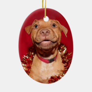 Happy pitbull puppy Christmas Ceramic Ornament