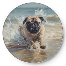 Happy Pug  at the Beach
