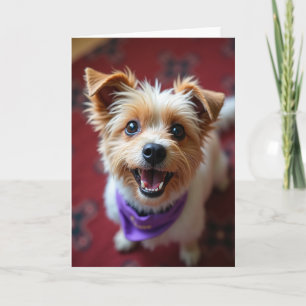 Happy Puppy Bandana Birthday Card