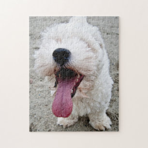 Happy Puppy white dog, malteese, maltipoo. Jigsaw Puzzle