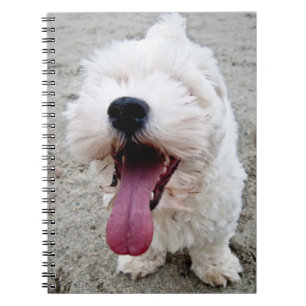 Happy Puppy white dog, malteese, maltipoo. Notebook