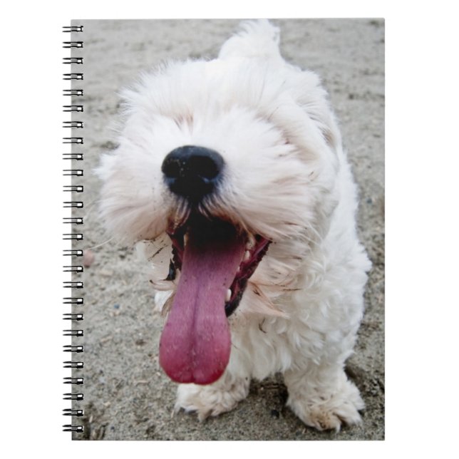 Happy Puppy white dog, malteese, maltipoo. Notebook (Front)