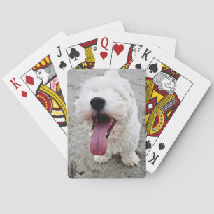 Happy Puppy white dog, malteese, maltipoo. Playing Cards