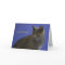 Happy Purr Day Russian Blue by Focus for a Cause