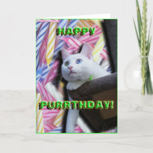 Happy Purrthday! Card