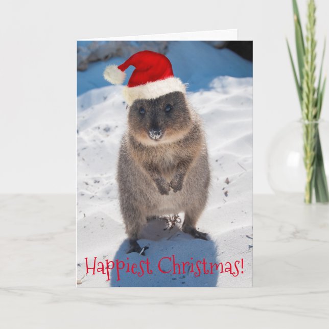 Happy Quokka Christmas & New Year Card (Front)