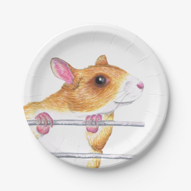 happy rat paper plates (Front)