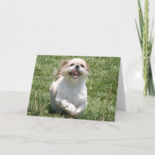 Happy running Shih Tzu Card (Front)