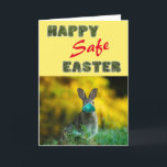 Happy & Safe Easter | Cute Funny Rabbit with Mask Holiday Card<br><div class="desc">Celebrate 'Happy Easter Day' and send greetings to your loved ones with this cute and funny Holiday Card featuring a Rabbit with a mask wishing you a 'HAPPY & SAFE EASTER!'. All the texts are pre-arranged for you to personalize easily and quickly with your own. Available as a folded card,...</div>