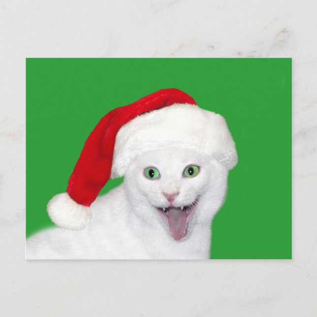 Happy Santa Cat Holiday Postcard (Front)