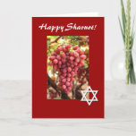 Happy Shavuot-Red Grapes/Star of David Holiday Card<br><div class="desc">This red card features beautiful red grapes,  and a Star of David celebrating the Jewish holiday of Shavuot!  Inside can be personalized to say what you wish. Image is public domain with permission from http://www.public-domain-image.com/</div>