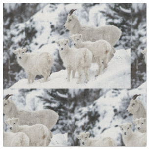 Happy Sheep Family Fabric
