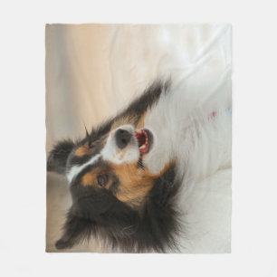 Happy Shelty Baby Blanket