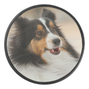 Happy Shelty  Hockey Puck