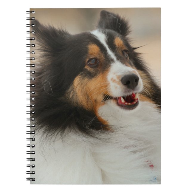 Happy Shelty  Notebook (Front)