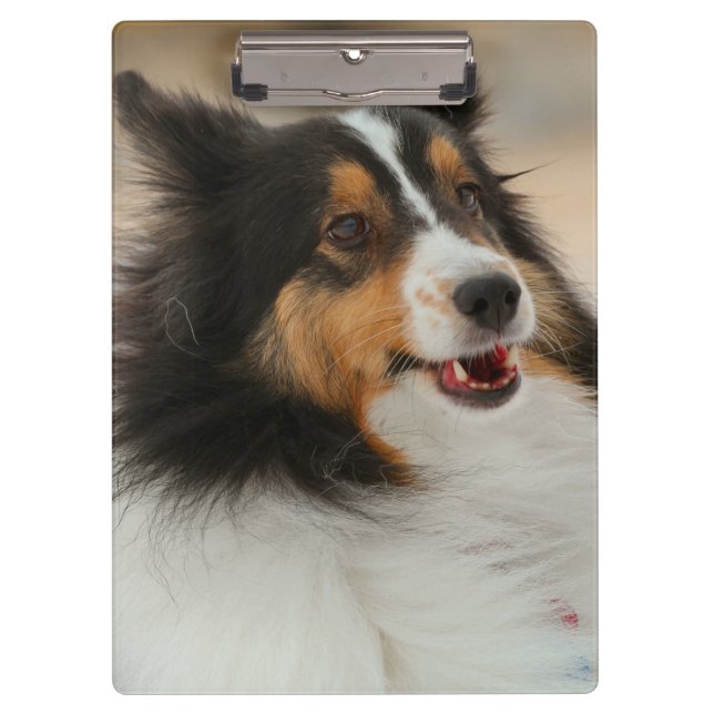 Happy Shelty  Notebook Clipboard (Front)