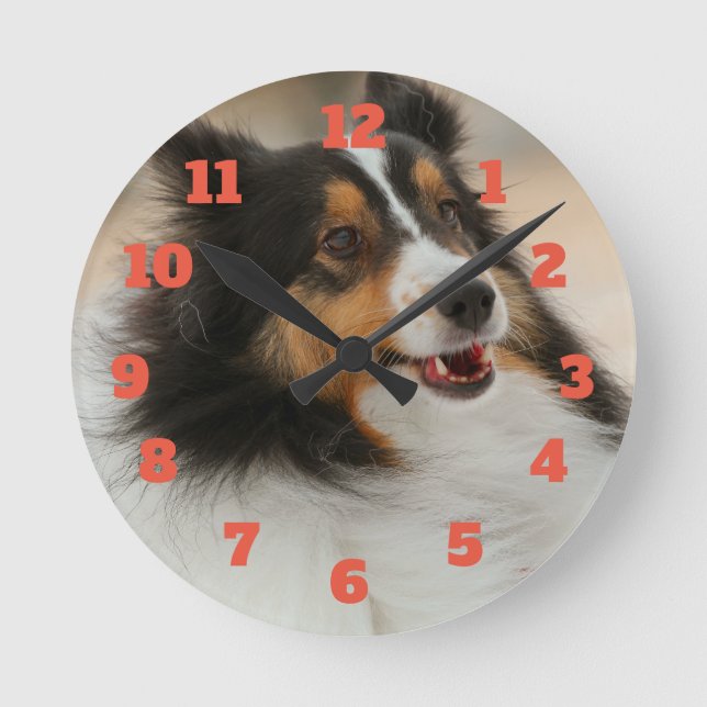 Happy shelty round clock (Front)