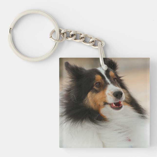 Happy Shelty   Soccer Ball Keychain (Front)
