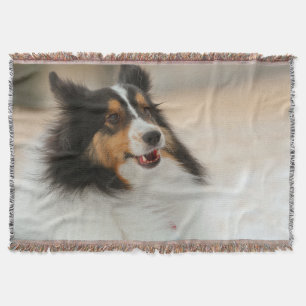 Happy Shelty Throw Blanket