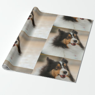 Happy Shelty Wrapping Paper