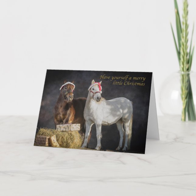 Happy Shetland pony Christmas Holiday Card (Front)