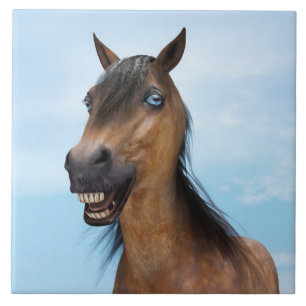 Happy Smiling Bay Horse Tile