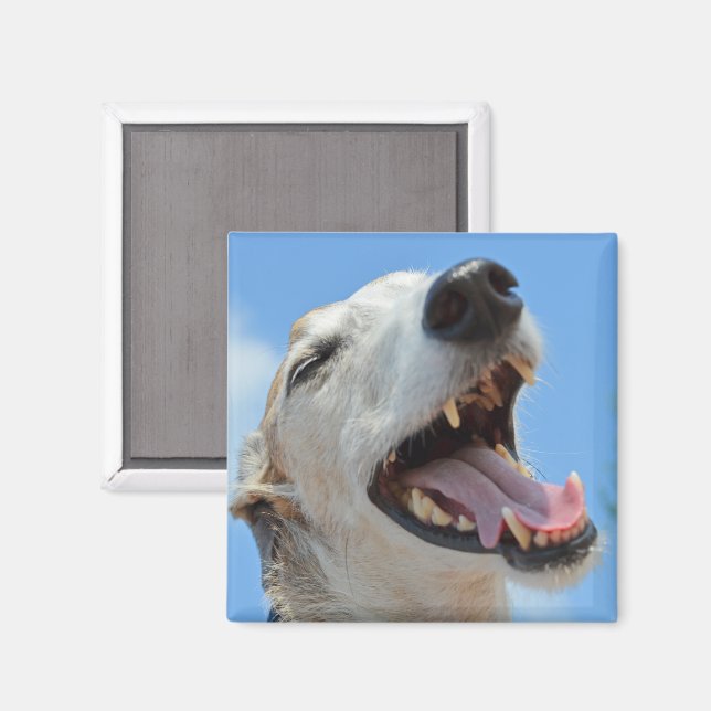 Happy Smiling Greyhound Face Closeup Magnet (Front/Back)