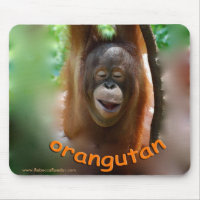 Happy Smiling Orangutan