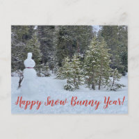 Happy Snow Bunny Year!