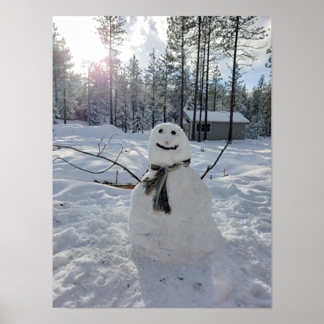 Happy Snowman original winter photography Poster (Front)