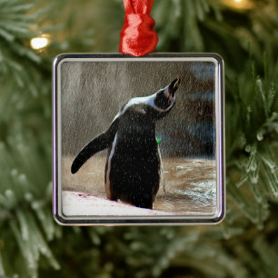 Happy Splashing Penguin Framed Metal Christmas Metal Ornament