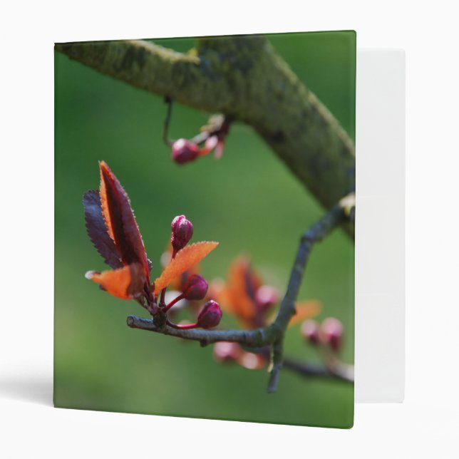 Happy Spring  Avery Binder (Front/Inside)