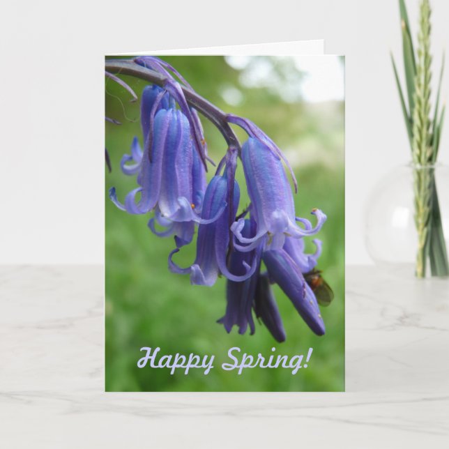 Happy Spring! "Bluebells in England" Holiday Card (Front)