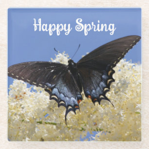 Happy Spring Butterfly Coaster