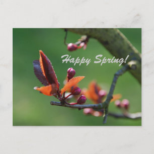 Happy Spring Card