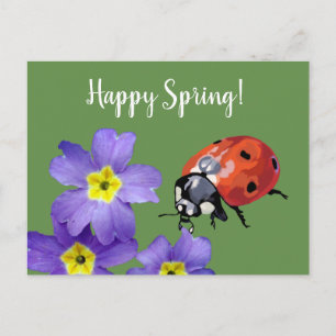 Happy Spring Flowers Ladybug Postcard