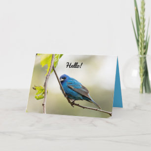 Happy Spring Greeting Card