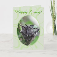 Happy Spring | Hummingbirds in Nest Photo |