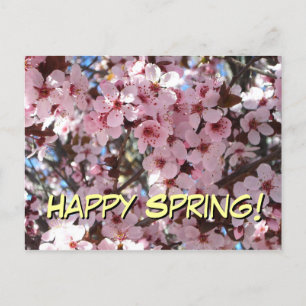 Happy Spring Pink Blossoms Postcard