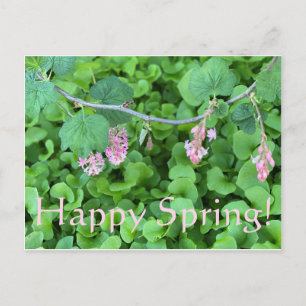 Happy Spring! Postcard