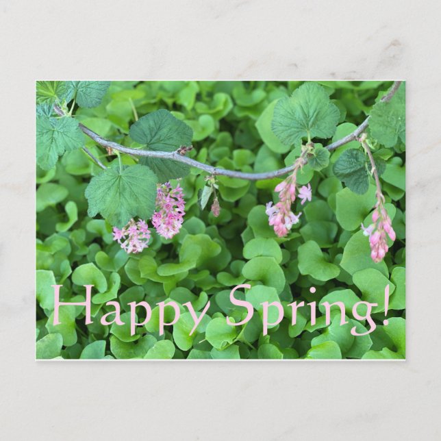 Happy Spring! Postcard (Front)