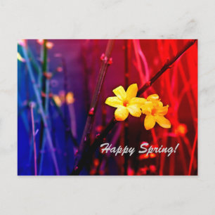 Happy Spring Postcard