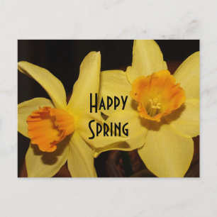 Happy Spring Postcard