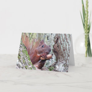 Happy Squirrel Greeting Card