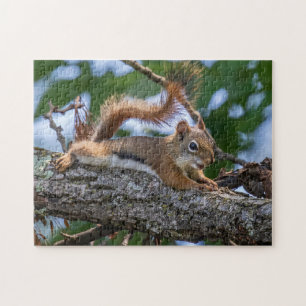 Happy Squirrel Jigsaw Puzzle