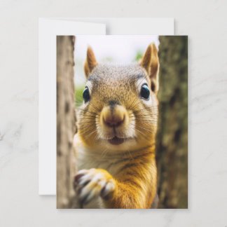 Happy Squirrel Postcard