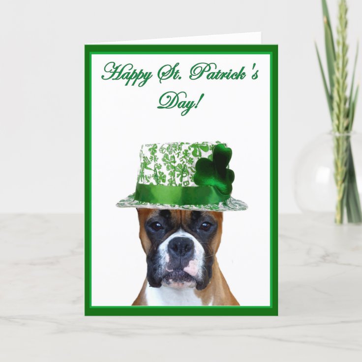 patrick day boxer timeline
