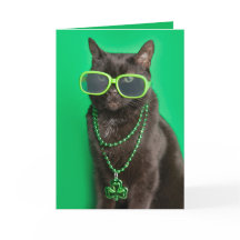 Happy St Patricks Day Cat in Green Humour