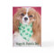 Happy St. Patrick's Day Cavalier King Charles Pup