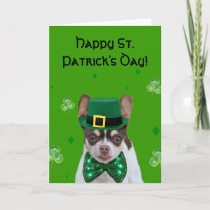 Happy St. Patrick's Day  Chihuahua greeting card